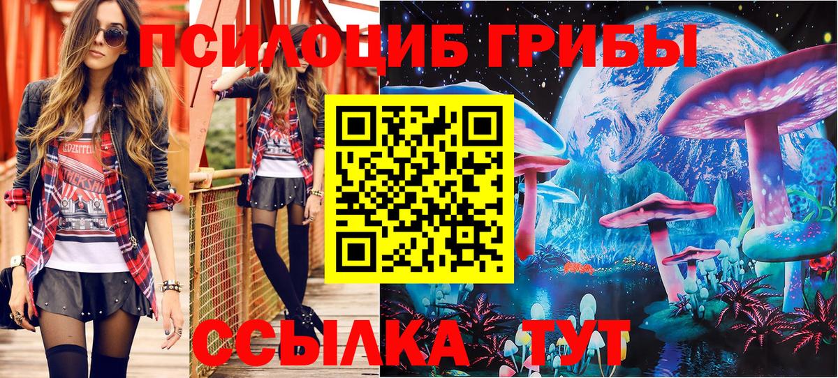 Буйнакск  Галлюциногенные грибы Psilocybine cubensis  купить наркоту  Вход с VPN 