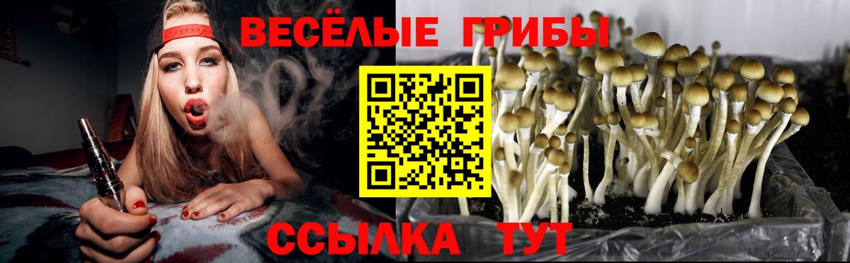 Псилоцибиновые грибы MAGIC MUSHROOMS Буйнакск